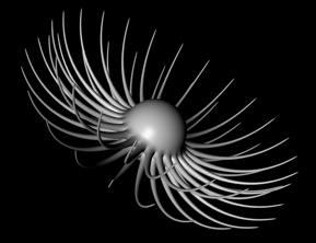 Abstract Flower Tutorial: Final Result